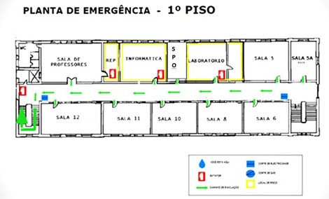 planta 5