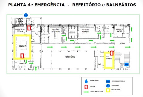 planta 7