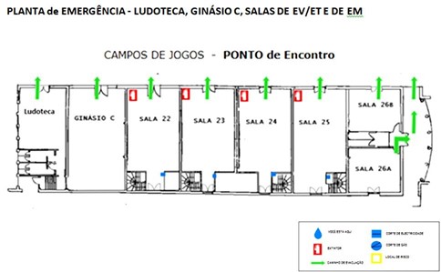 planta 8