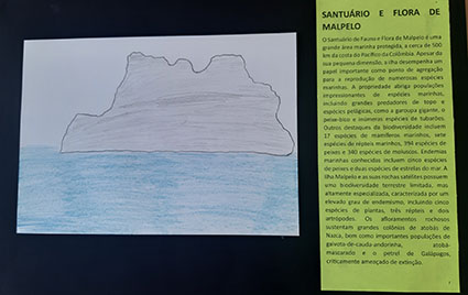 atividade11