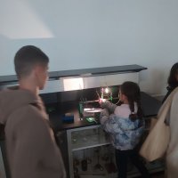 Alunos do 1º ciclo na Física do Rainha